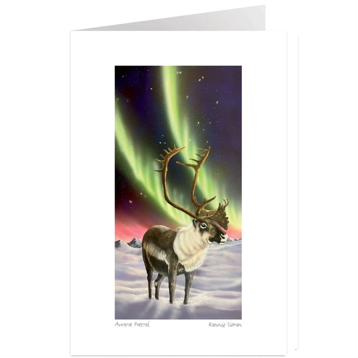 Aurora Patrol