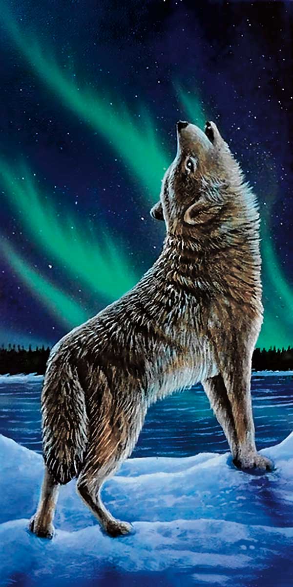 RONNIE SIMON Framed Art Card Collection -  Choose from a selection of 10 different prints indigenous art gift by Ronnie Simon Canada