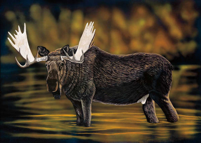 RONNIE SIMON Framed Art Card Collection -  Choose from a selection of 10 different prints indigenous art gift by Ronnie Simon Canada