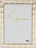 Silver Cane Frame