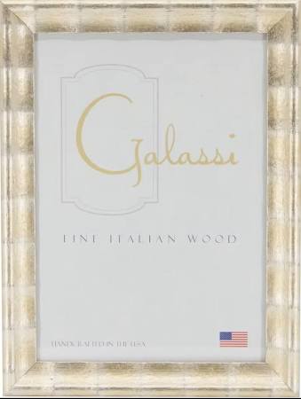 Silver Cane Frame