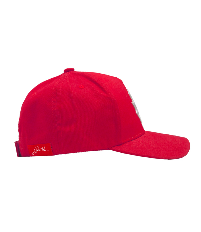 Standing Together Embroidered Baseball Cap by Curtis Wilson indigenous art gift by Curtis Wilson Canada