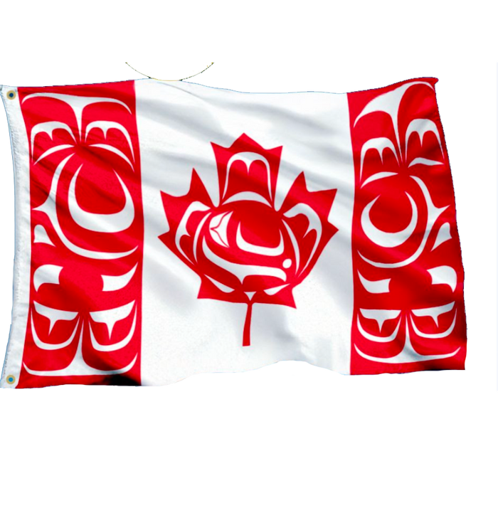 Standing Together Indigenous Flag 5' x 3' and 18"x12"  IN STOCK NOW! indigenous art gift by Curtis Wilson Canada