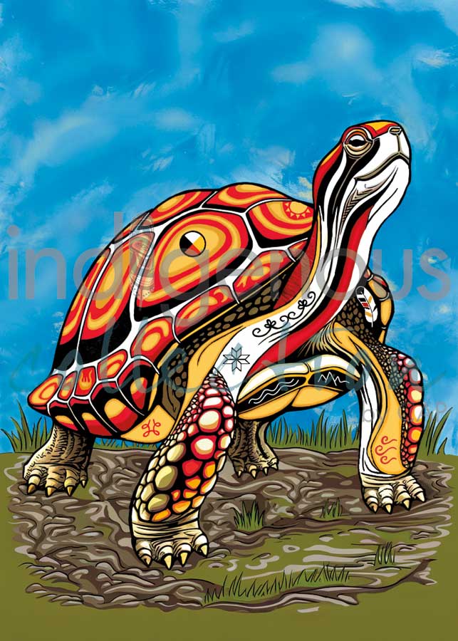 Stephanie White  Framed Art Card Collection - Choose from a selection of 12 prints indigenous art gift by Stephanie White Canada