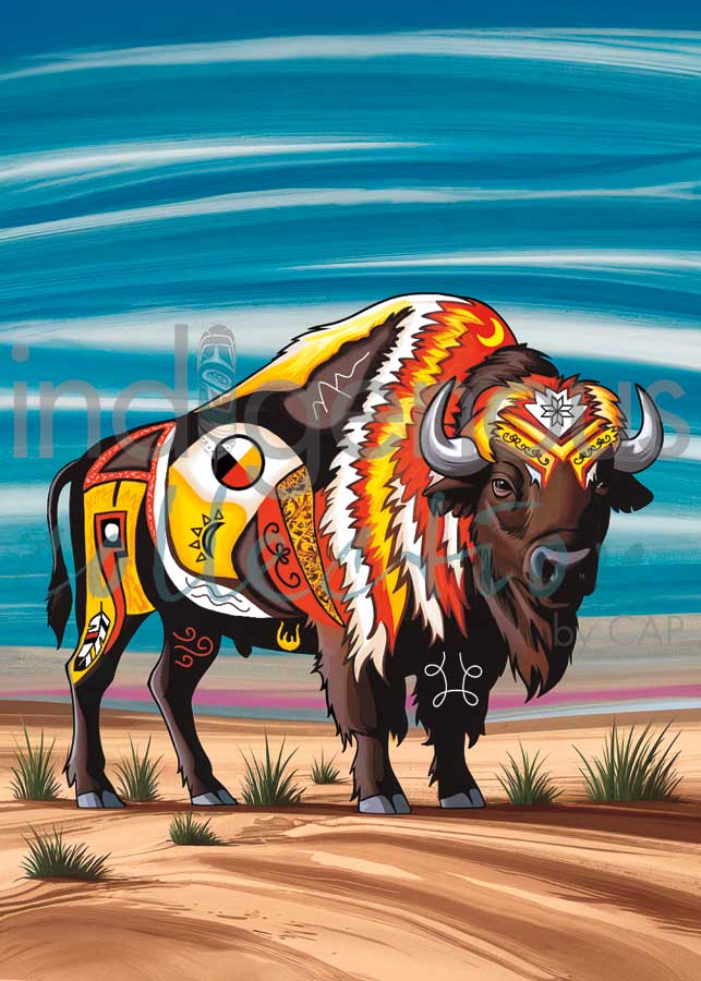 Stephanie White  Framed Art Card Collection - Choose from a selection of 12 prints indigenous art gift by Stephanie White Canada