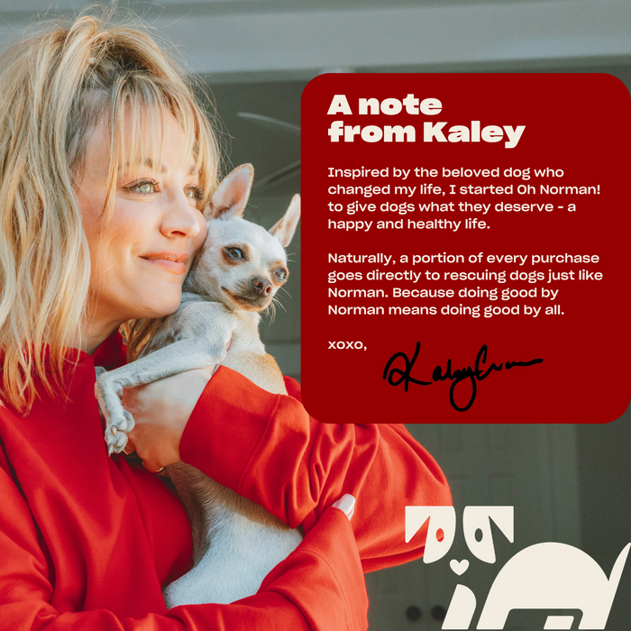 Actress Kaley Cuoco in red sweater holding a small dog beside a red note titled A note from Kaley saying purchases support dog rescues