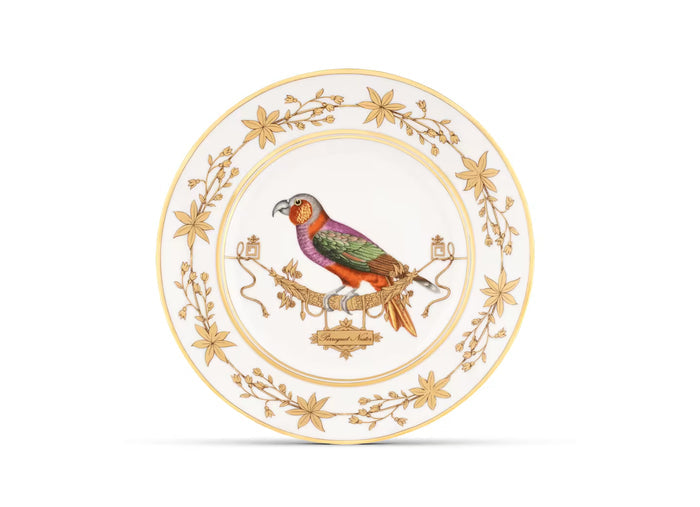 Volière Perroquet Nestor Bread & Butter