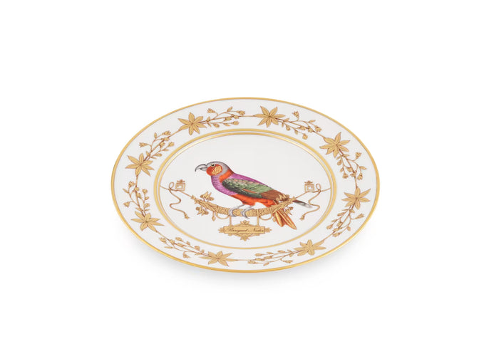 Volière Perroquet Nestor Bread & Butter