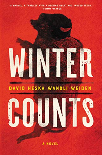 WINTER COUNTS by David Heska Wanbli Weiden indigenous art gift by North of Fifty First Nations & Métis Art Boutique Canada