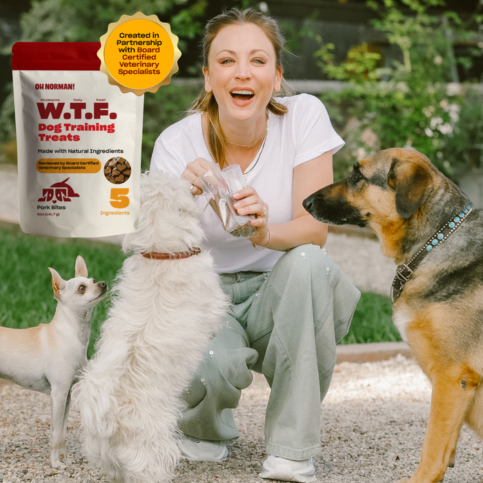 Actress Kaley Cuoco giving training treats to three dogs outdoors, with a branded dog-treats package and gold partnership badge