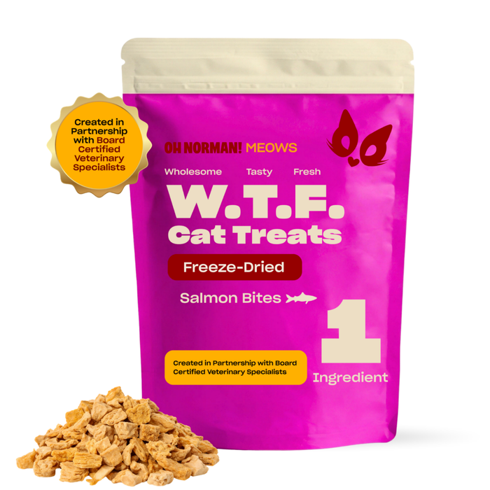 WTF Salmon Freeze-Dried Cat Treats