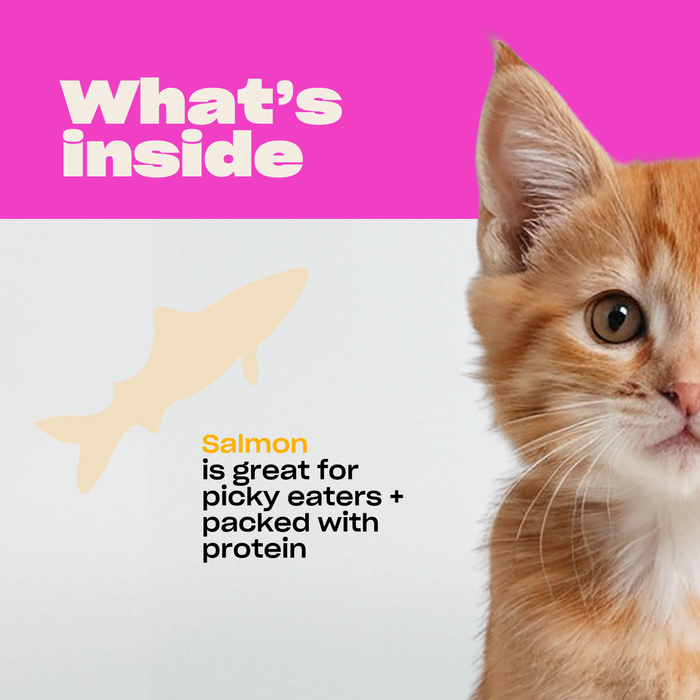 WTF Salmon Freeze-Dried Cat Treats