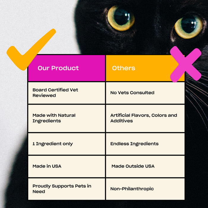 WTF Salmon Freeze-Dried Cat Treats