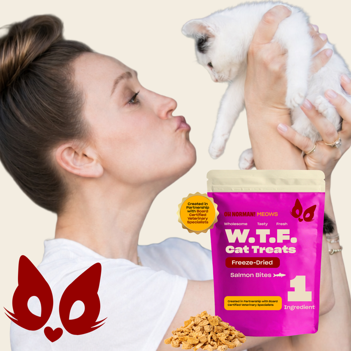 WTF Salmon Freeze-Dried Cat Treats