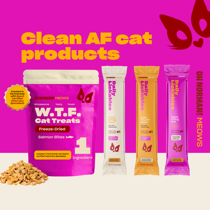 WTF Salmon Freeze-Dried Cat Treats