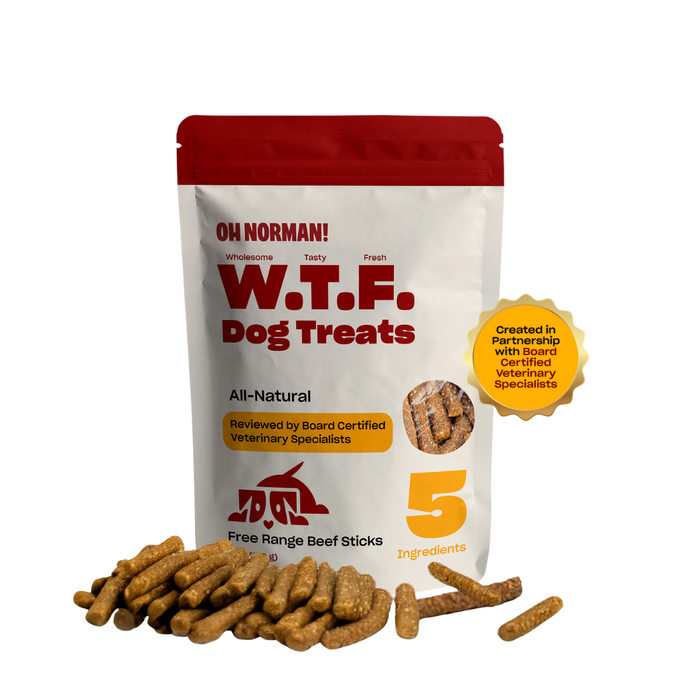 Front view of W.T.F. Dog Treats Free Range Beef Sticks pouch showing red resealable top, "5 Ingredients" badge, vet review seal, and scattered beef stick treats on white background
