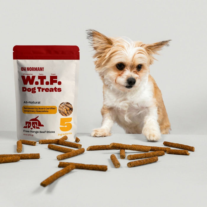 W.T.F. Dog Treats pouch of free range beef sticks with resealable red top, scattered sticks and small tan and white dog
