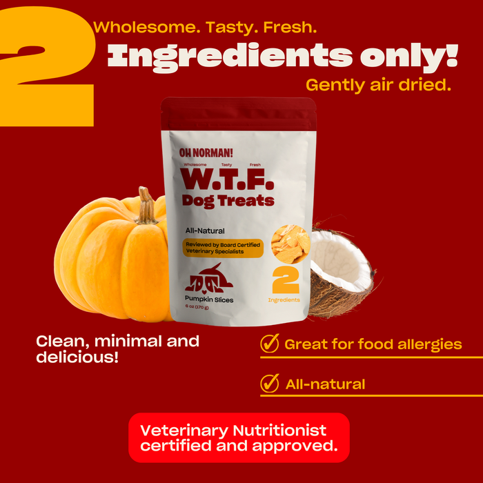 Promotional banner showing W.T.F. Dog Treats Pumpkin Slices pouch with pumpkin and coconut and headline '2 Ingredients only!'