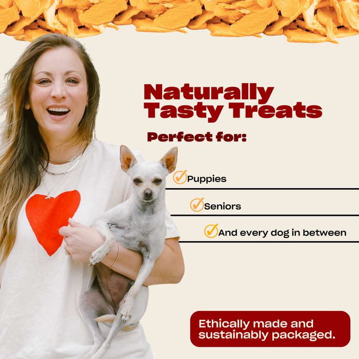 Promotional banner showing treats are naturally tasty and suitable for puppies, seniors, and every dog; image shows actress Kaley Cuoco holding a small dog