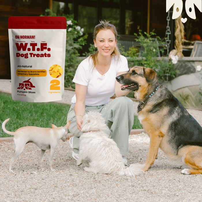 Actress Kaley Cuoco kneeling with three dogs on a gravel yard, overlaid package labeled "W.T.F. Dog Treats Pumpkin Slices"