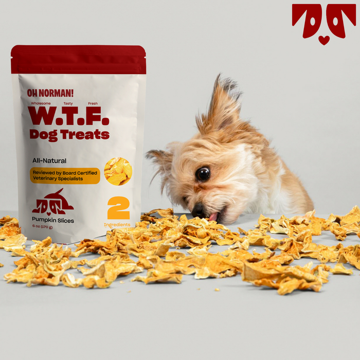 Front of 6 oz W.T.F. Dog Treats Pumpkin Slices bag with dried pumpkin pieces and small dog sniffing