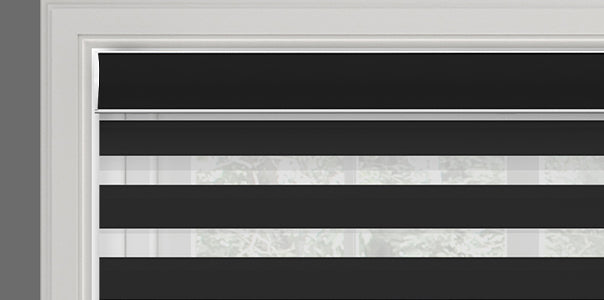 Zebra/Eclipse Shades